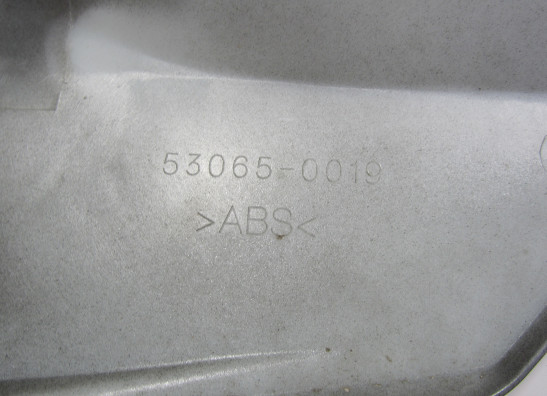 Soziusabdeckung Kawasaki Z 1000