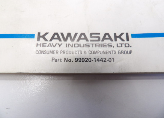 Manuel Kawasaki ZX 10 R