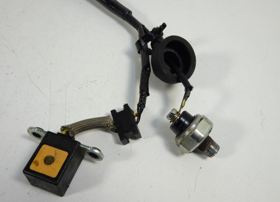 Pulsgever Kawasaki ER 6