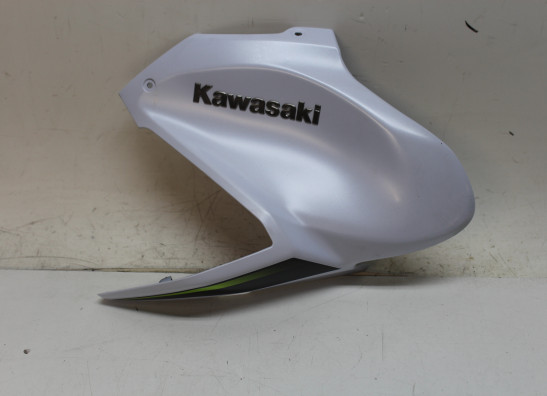 Tankschutz Kawasaki Z 900