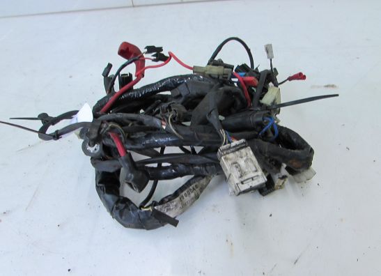 Wire Harness Triumph Sprint 900 Executive