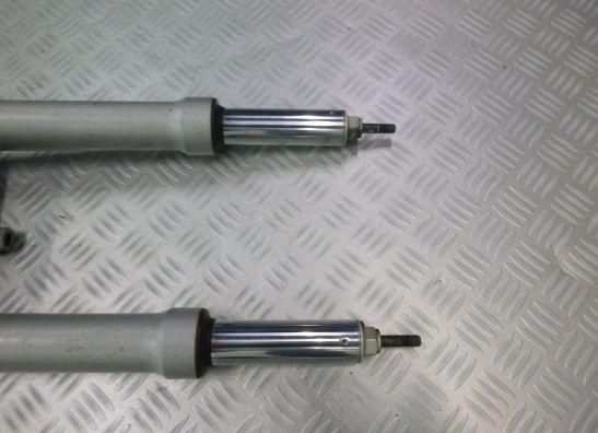 Voorpoten compleet BMW R 1150 R