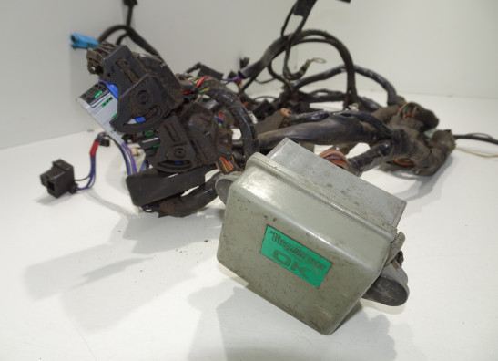 Kabelbaum Triumph Tiger 900