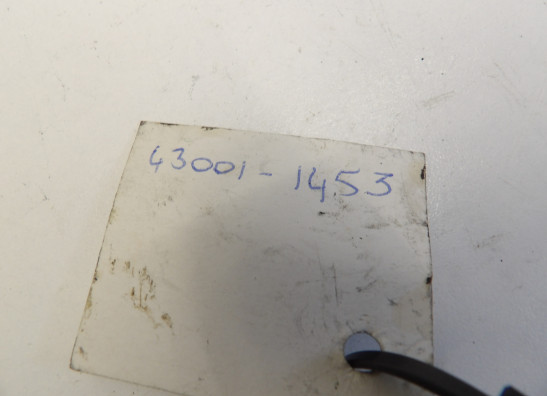 Rempedaal Kawasaki ZZR 1200