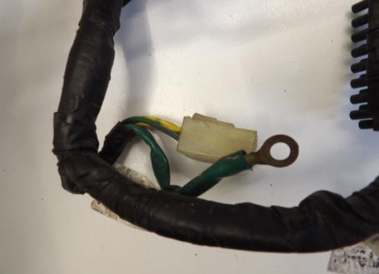 Kabelboom Honda CBR 600 F