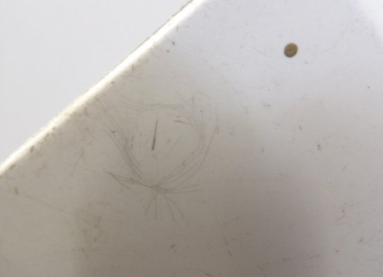 Linker zijkuip klein Honda CBX 550 F2