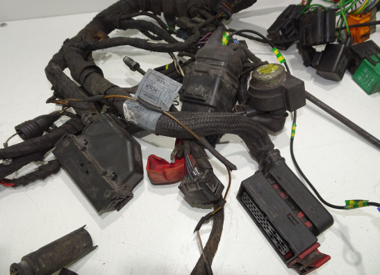 Wire Harness BMW F 650 GS