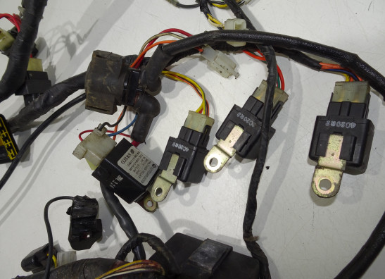 Wire Harness Hyosung Comet 650