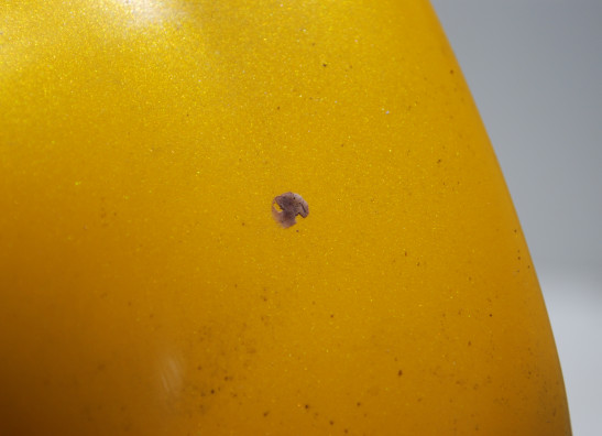 Fuel tank cover Triumph 595 T Daytona