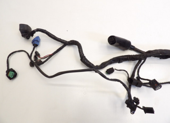 Wire Harness Kawasaki ER 6