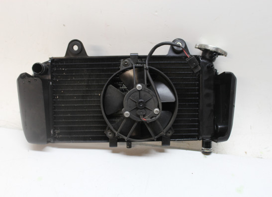 Radiator Yamaha MT 03