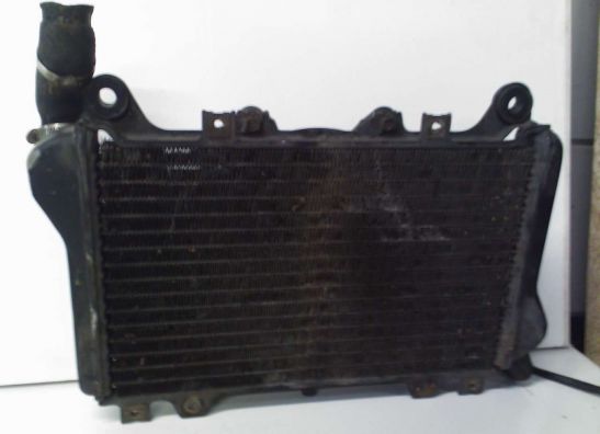 Radiator Kawasaki GPX 750