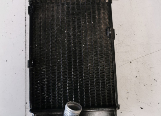 Radiateur Aprilia RSV 1000