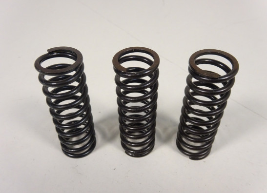 Clutch Aprilia Tuono 660