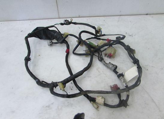 Kabelboom Honda PC 800