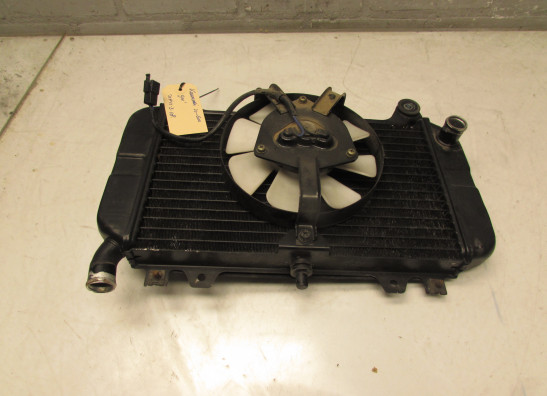Radiateur Kawasaki ZZR 600