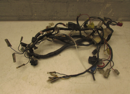 Wire Harness Yamaha V max