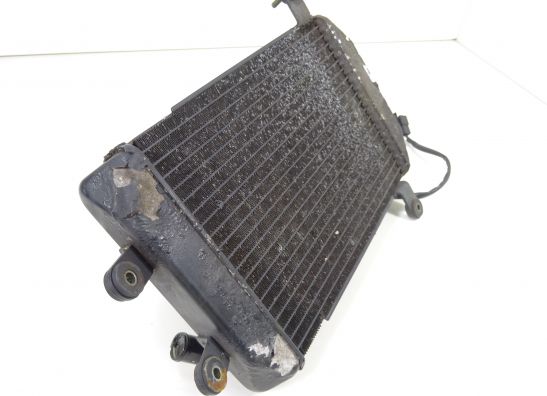 Radiator Suzuki Burgman AN 250