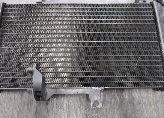 Radiateur BMW F 800 R