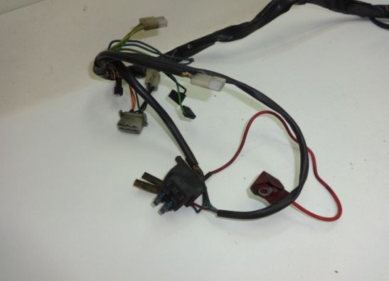 Wire Harness Aprilia Pegaso