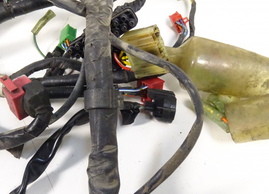 Wire Harness Honda CB 1000 F