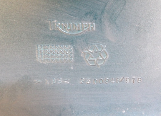 Linker achterkant Triumph Trophy 900