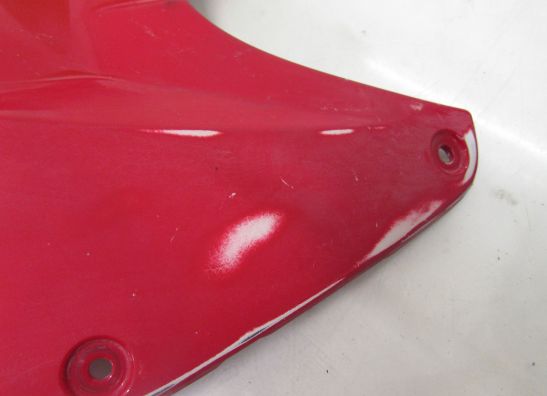 Tankschutz BMW S 1000 RR