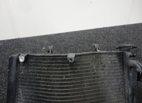 Kuhler Honda CBR 900 RR