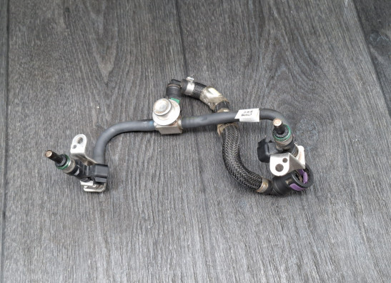 Einspritzanlage Indian Scout