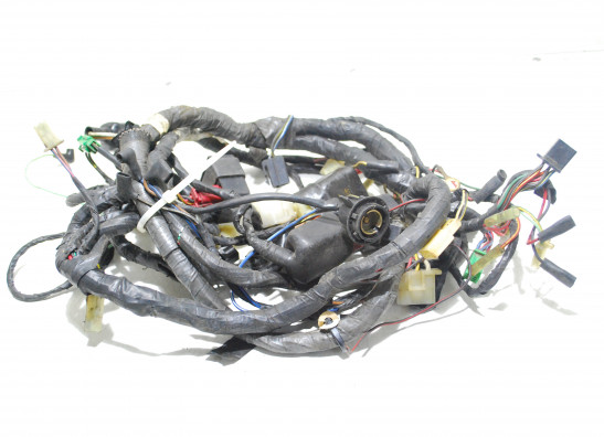 Wire Harness Kawasaki ZZR 1100