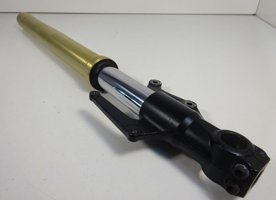 Standrohr Gabelholm links komplett Triumph Street Triple 675