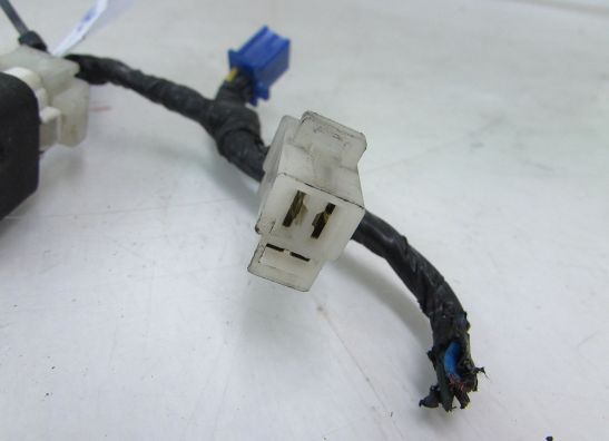 Kabelboom voor Yamaha FZR 600