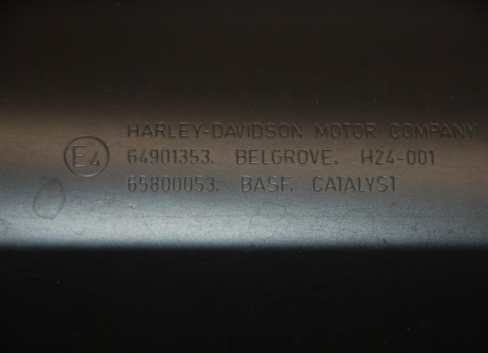 Auspuff Harley Davidson Touring FL