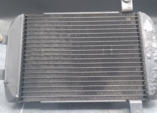 Radiator Suzuki Burgman 400