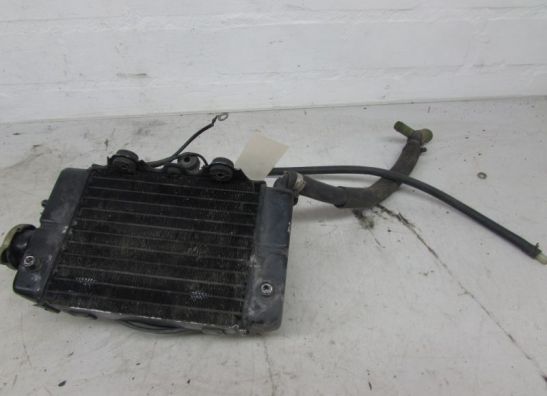 Radiator Honda XL 600