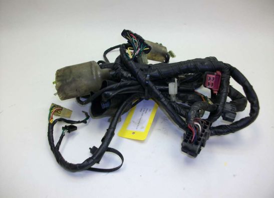 Wire Harness Honda VTR 1000 F