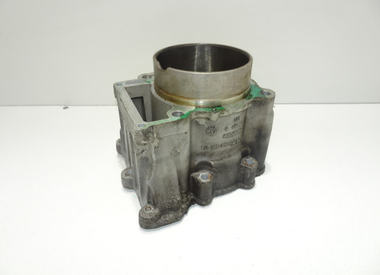 Cilinderblok BMW F 650 GS