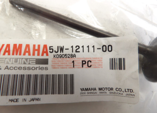 Zylinderkopf Yamaha FJR 1300