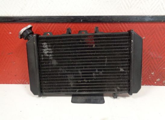 Radiateur Hyosung Comet 650
