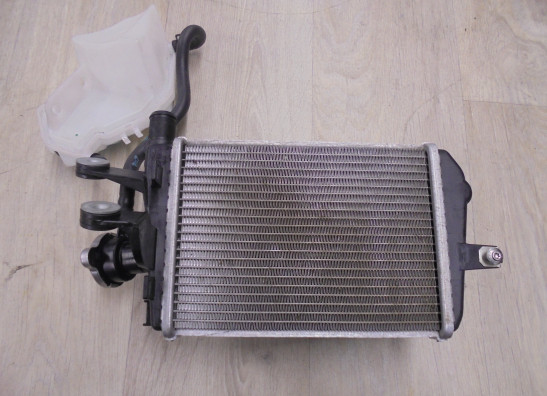 Radiateur BMW R 1250 GS Adventure