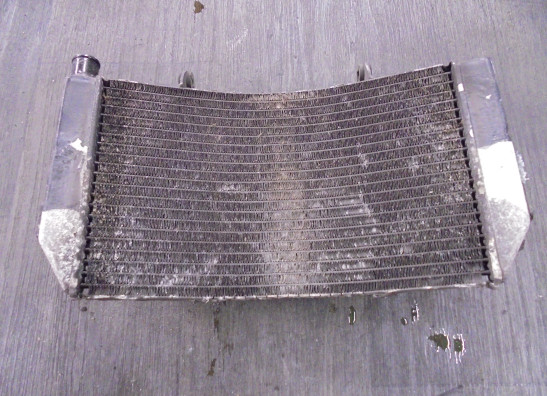 Radiator Honda CBR 600 F