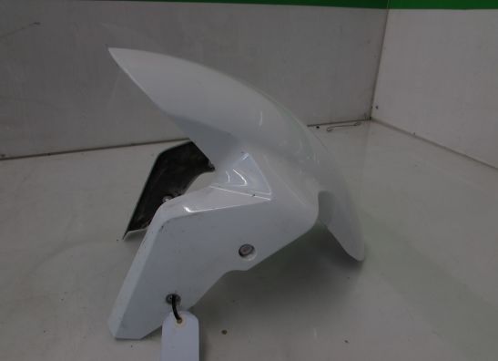 Kotflugel vorne BMW S 1000 RR