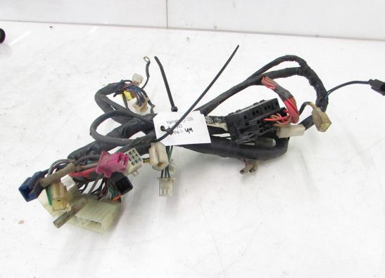 Wire Harness Yamaha FJ 1200