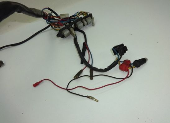 Wire Harness Aprilia Pegaso
