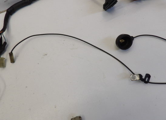 Kabelboom Honda CBR 900 RR