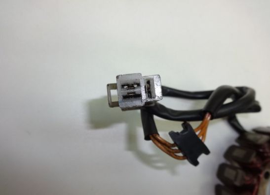 Dynamo Kawasaki ER 5