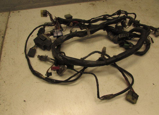 Wire Harness Yamaha FJ 1200