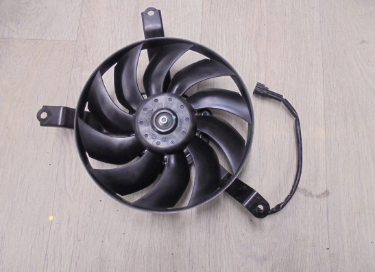 Fan Kawasaki Z 900