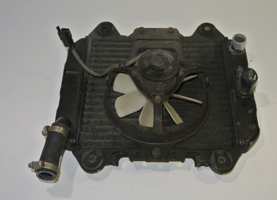 Radiator Kawasaki ZZR 250