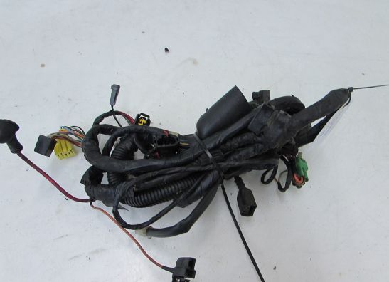 Wire Harness Suzuki GSX F 750